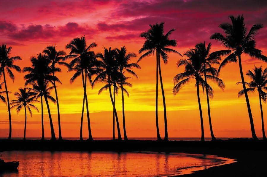 10x7ft Summer Tropical Hawaii Beach Backdrops Seaside Sunset Silhouettes Palm Trees Summer Backdrops for Photography Background Luau Aloha Wedding Party Banner Decor Photo Props by XMJJKUF