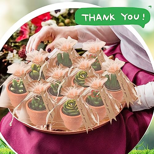 MTLEE 36 Pcs Succulent Cactus Tealight Candles - Image 4