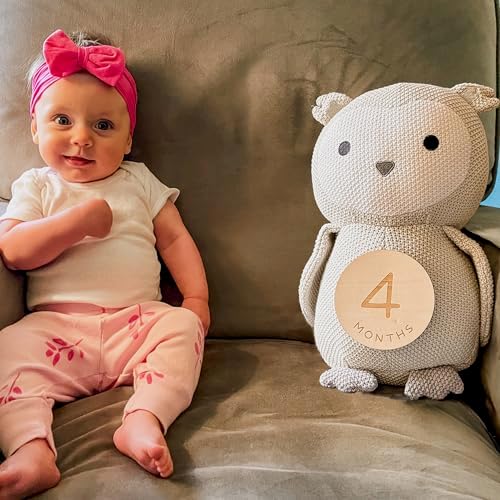 Monthly Baby Milestone Knit Cotton Stuffie with Wooden Discs, Newborn Photography Prop, Announcement Sign by Sawyer & Eloise (Owl) - Image 7