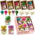 45 Sets Soap Favors Bulk for Wedding Gifts, Rectangle, Blue, Green, Purple by Kigeli