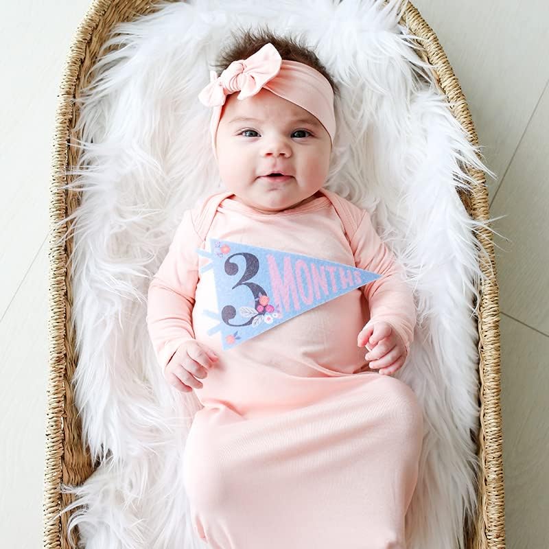Lucy Darling Petit Milestone Pennants – Baby Monthly Milestone Pennant Flags – Newborn Photo Props & Felt Nursery Decor – Keepsake Banner Set for Baby Photos – Little Artist - Image 6