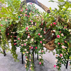 2PCS x 6FT Rose Garland Artificial Flower Vine for Home Decor, Pink - Image 6