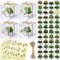 MTLEE 48 Sets Succulent Cactus Tealight Candles Wedding Favors Gift Boxed by MTLEE