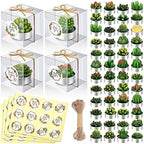 MTLEE 48 Sets Succulent Cactus Tealight Candles Wedding Favors Gift Boxed by MTLEE