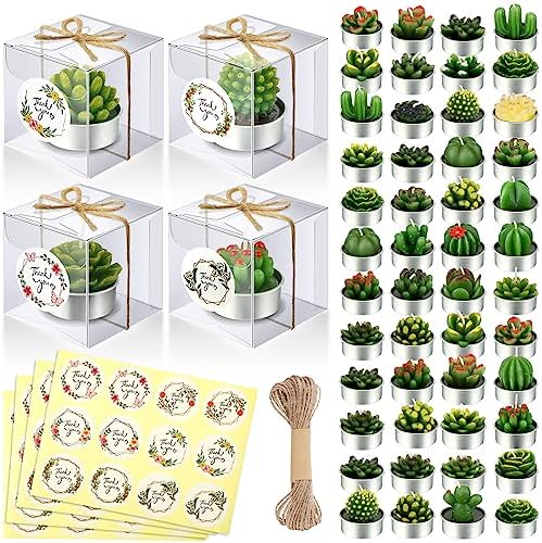 MTLEE 48 Sets Succulent Cactus Tealight Candles Wedding Favors Gift Boxed by MTLEE