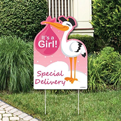Big Dot of Happiness Girl Special Delivery - Baby Shower Decorations - Pink It's A Girl Stork Baby Announcement & Welcome Yard Sign by BigDotofHappiness