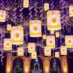 28 Pcs Princess Sun Hanging Lanterns DIY Set Purple Princess Hanging Banner by Unknown