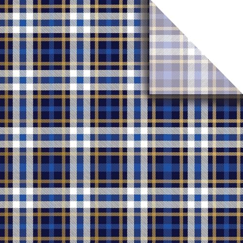Jillson & Roberts 20" x 30" Printed Gift Tissue, Blue Plaid (48 Folded Sheets) by JillsonRoberts