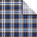 Jillson & Roberts 20" x 30" Printed Gift Tissue, Blue Plaid (24 Folded Sheets) by JILLSONROBERTS