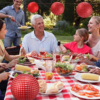 Blulu 24 Pcs Picnic Party Decorations Red Paper Lanterns Checkered Round - Image 5