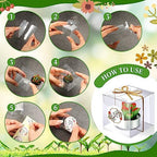MTLEE 48 Sets Succulent Cactus Tealight Candles Wedding Favors Gift Boxed - Image 3