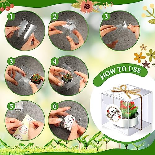 MTLEE 48 Sets Succulent Cactus Tealight Candles Wedding Favors Gift Boxed - Image 3
