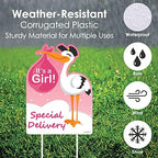 Big Dot of Happiness Girl Special Delivery - Baby Shower Decorations - Pink It's A Girl Stork Baby Announcement & Welcome Yard Sign - Image 6