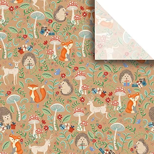 Jillson Roberts 20" x 30" Printed Gift Tissue for Birthdays, Wine Bags, Weddings, Krafty Fox, 48 Folded Sheets by JILLSONROBERTS