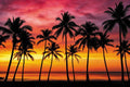 12x10ft Summer Seaside Sunset Photography Backdrop Palm Trees Silhouettes on Hawaii Tropical Beach Photography Background for Baby Shower Birthday Party Decor Photo Studio Props by XMJJKUF