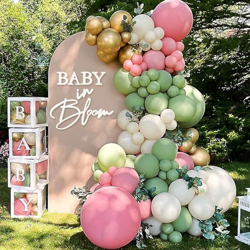Baby in Bloom Decorations includ “Baby in Bloom” Letter Sign, Pink Sage Green Balloon Garland Arch Kit, Baby Boxes with Letters, Backdrop by MASTRON