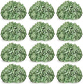 Sage Green Hydrangea Flower Balls for Centerpieces,12 PCS, 8 Inch by DIYDOFUN