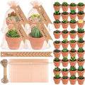 MTLEE 36 Pcs Succulent Cactus Tealight Candles by MTLEE