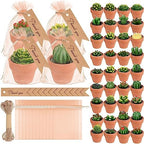 MTLEE 36 Pcs Succulent Cactus Tealight Candles by MTLEE