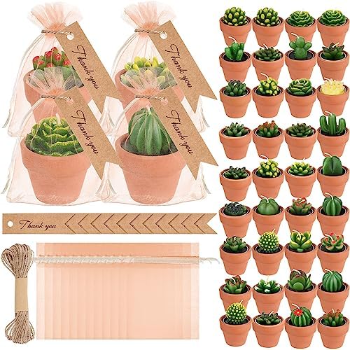 MTLEE 36 Pcs Succulent Cactus Tealight Candles by MTLEE