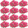 Peonies Artificial Flowers Bouquet, Lifelike Silk Fake Peonies with Stems for Home Table Centerpieces, Wedding, Party & DIY Bridal Floral Arrangements (12, Rose red) by Unknown