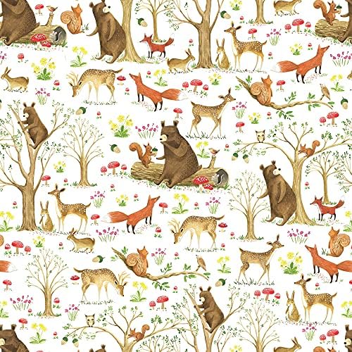 Jillson Roberts 6 Roll-Count Baby Gift Wrap Available in 5 Different Designs, Fairytale Forest by JillsonRoberts