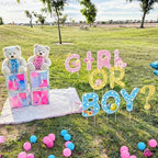 KatchOn Boy or Girl Yard Sign, Pcs 10, Gender Reveal Decorations - Image 6