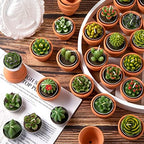 Shihanee 24 Pack Succulent Candles with Terracotta Pot Novelty Handmade Stylish Plant Candles Gifts for Baby Shower Birthday Wedding Party Favors Home Decor Valentine Gift by Shihanee
