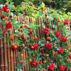 2 PCS 12FT Bendable Flower Garland, Fake Rose Vine for Home Decor,Red - Image 5