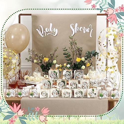 MTLEE 48 Sets Succulent Cactus Tealight Candles Wedding Favors Gift Boxed - Image 5