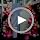 Cartoon Axolotl Arch Backdrop Cover 6.6 FT, Pink Ambystoma Mexicanum Green Seaweed Ocean Coral Wedding Arch Cover Stretchy Backdrop Stands Covers for Birthday Party Ceremony Banquet Decor - Image 7